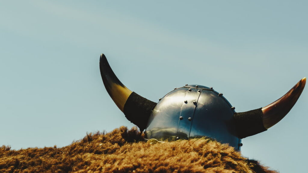 Understanding Viking Society Structure